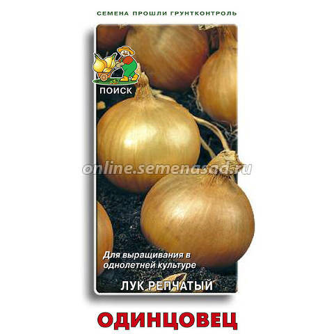 Black sprut onion 1blacksprut me