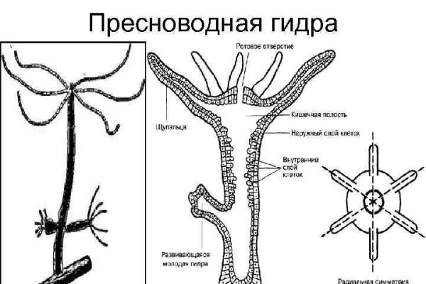 Bs2web at ссылка blacksprute com